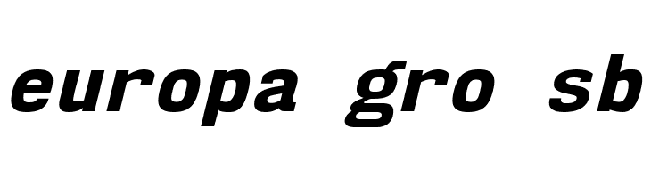 NK57MonospaceEb-Italic  Free Fonts Download