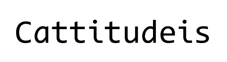 Code New Roman  Free Fonts Download