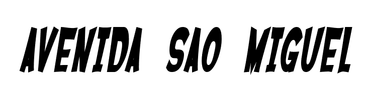 SF Ferretopia Bold Oblique  Free Fonts Download