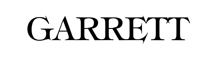 Typography Times  Free Fonts Download