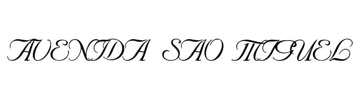 SNC Script Italic  Free Fonts Download