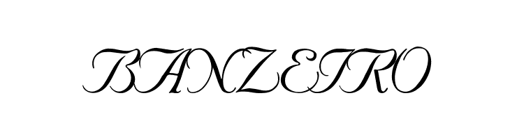 SNC Script Italic  Free Fonts Download