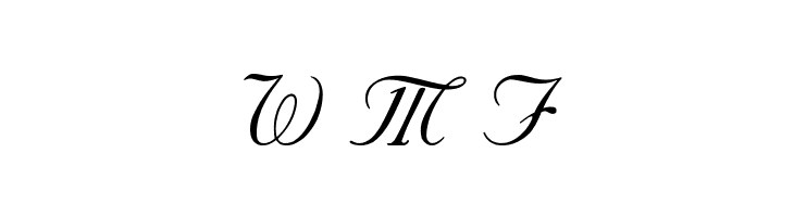 SNC Script Italic  Free Fonts Download