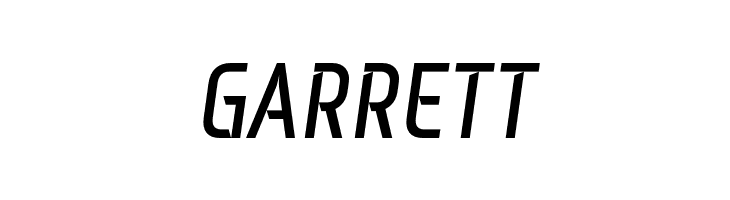 Monitorica-BoldItalic  Free Fonts Download