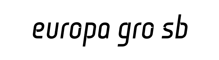 Monitorica-BoldItalic  Free Fonts Download