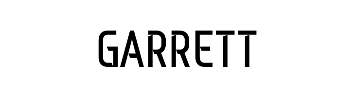 Monitorica-Bold  Free Fonts Download