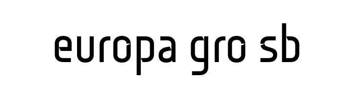 Monitorica-Bold  Free Fonts Download