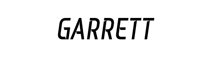 Monitorica Bold Italic  Free Fonts Download