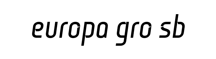 Monitorica Bold Italic  Free Fonts Download