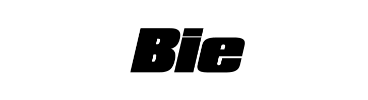 Republica Minor Bold Italic  Free Fonts Download