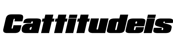 Republica Minor Bold Italic  Free Fonts Download