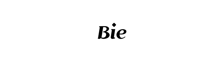 Risaltyp  Free Fonts Download