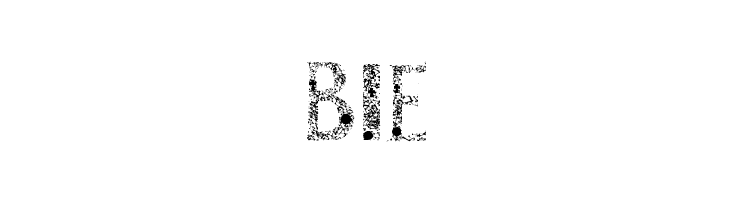 SANROMERO  Free Fonts Download