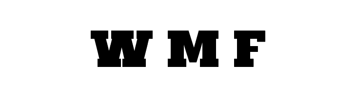 Maxxi Serif Bold  Free Fonts Download