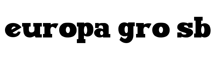 Maxxi Serif Bold  Free Fonts Download