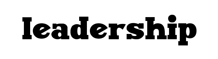 Maxxi Serif Bold  Free Fonts Download