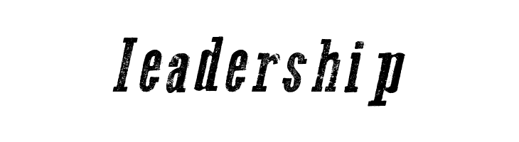 Go 2 Old Western Italic  Free Fonts Download