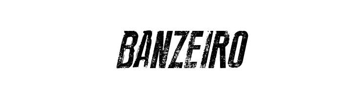 New Press Eroded Italic Italic  Free Fonts Download