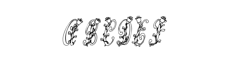 Tulips  Free Fonts Download