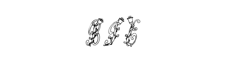 Tulips  Free Fonts Download
