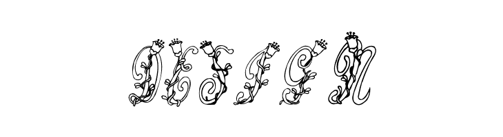 Tulips  Free Fonts Download