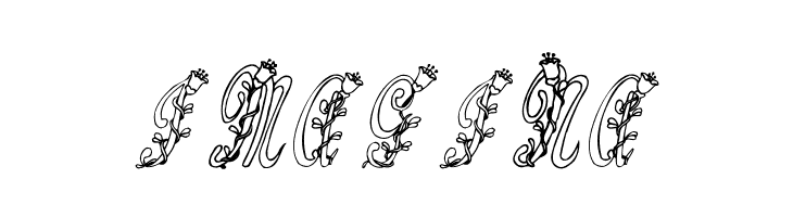 Tulips  Free Fonts Download