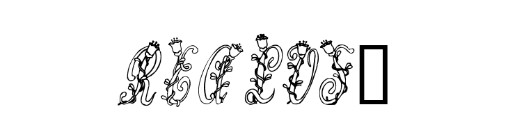 Tulips  Free Fonts Download