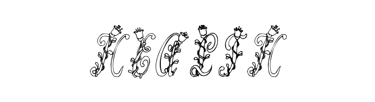 Tulips  Free Fonts Download