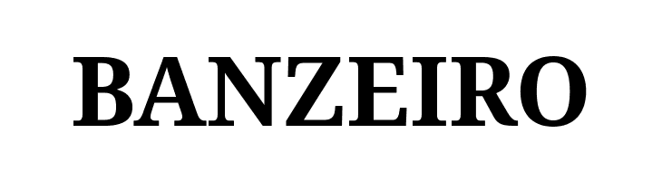 Noto Serif Bold  Free Fonts Download