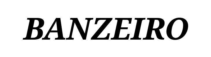 Noto Serif Bold Italic  Free Fonts Download