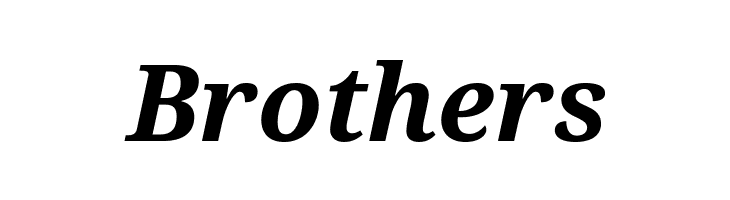 Noto Serif Bold Italic  Free Fonts Download