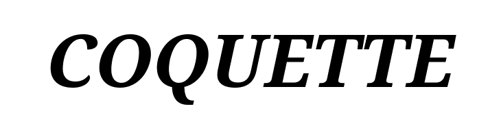 Noto Serif Bold Italic  Free Fonts Download