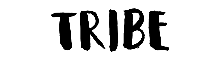 tribe Summeron Font