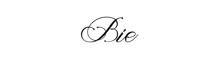 Magnolia Light  Free Fonts Download