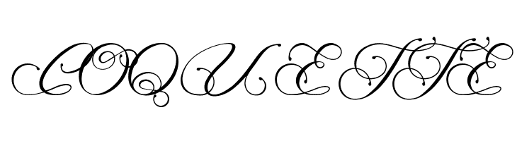 Magnolia Light  Free Fonts Download