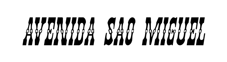 Younger Brothers Drop Caps Italic  Free Fonts Download