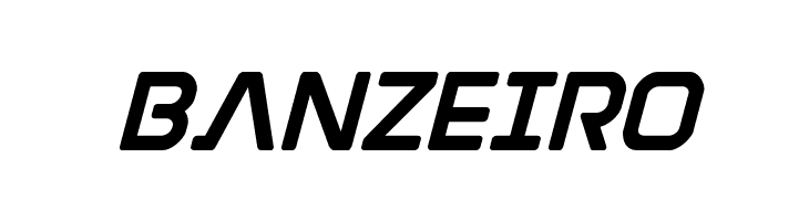 Discotechia Bold  Free Fonts Download