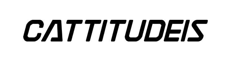 Discotechia Bold  Free Fonts Download