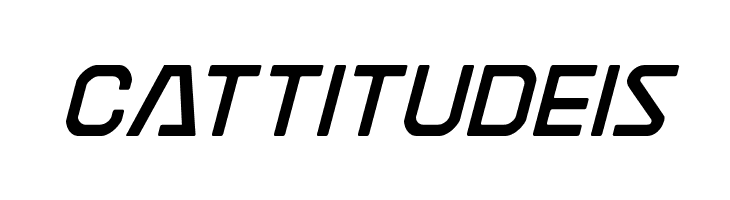 Discotechia  Free Fonts Download