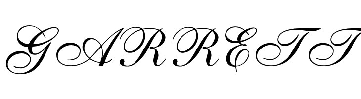 ALS Script  Free Fonts Download