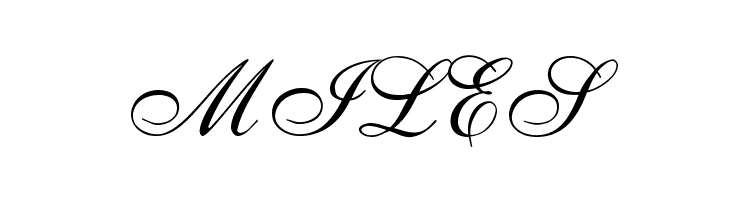 ALS Script  Free Fonts Download