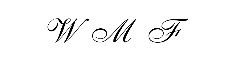 ALS Script  Free Fonts Download