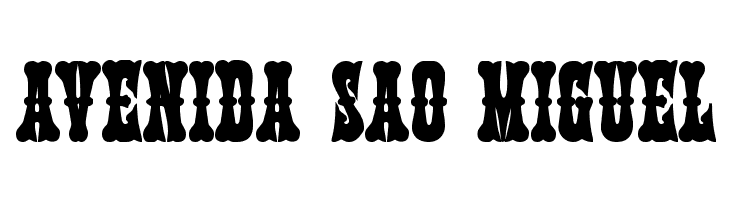 Texas Ranger Bold  Free Fonts Download