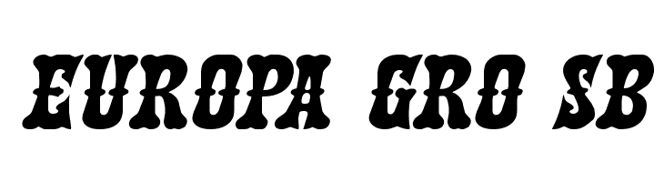 Texas Ranger Expanded Italic  Free Fonts Download