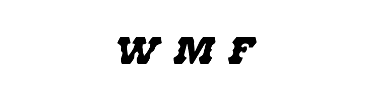 U.S. Marshal Italic  Free Fonts Download
