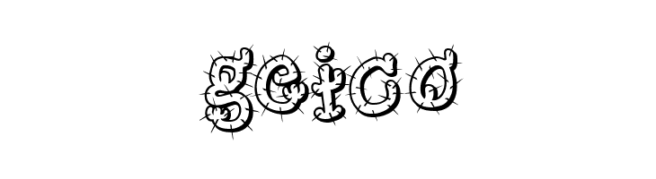 Cactus Sandwich FM  Free Fonts Download