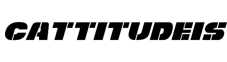 Freedom Fighter Expanded Italic  Free Fonts Download