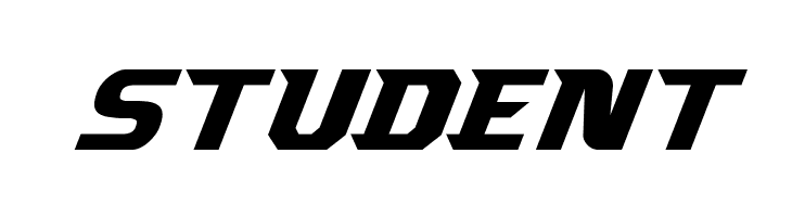 Borgsquad Italic  Free Fonts Download