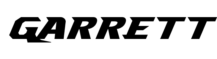 Borgsquad Expanded Italic  Free Fonts Download