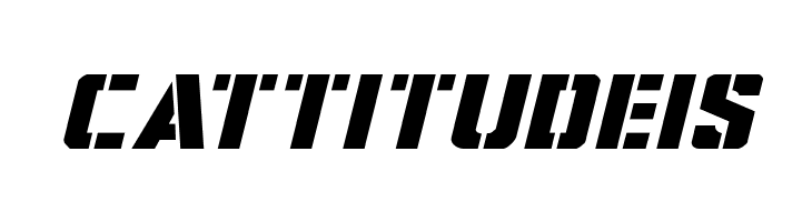 Covert Ops Expanded Italic  Free Fonts Download